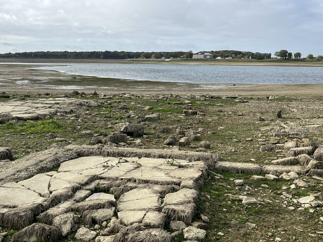 Lac du Der ne pas reproduire les erreurs du passé Coordination EAU